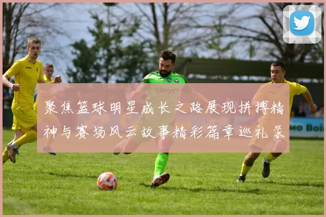 聚焦篮球明星成长之路展现拼搏精神与赛场风云故事精彩篇章巡礼录