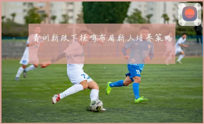 青训新政下杨鸣布局新人培养策略
