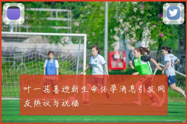 叶一茜喜迎新生命怀孕消息引发网友热议与祝福